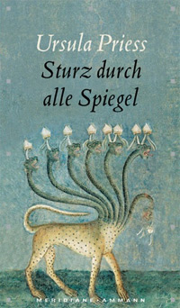 Ursula Priess - Sturz durch alle Spiege